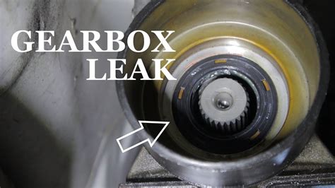 electric motor gear box oil leak|how to refill gearbox oil.